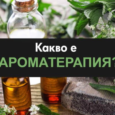 Статии за ароматерапия ЕТЕРИМ Какво е ароматерапия с етерични масла Eterim