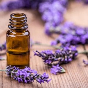 maslo-ot-lavandula-aromatna-svesjt Ароматна свещ от лавандула етерим