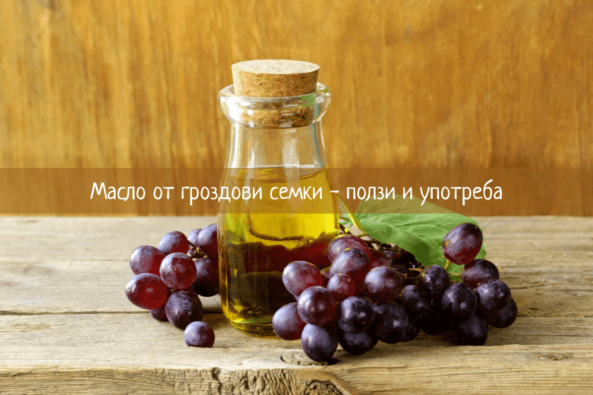 Масло от гроздови семки ползи и употреба