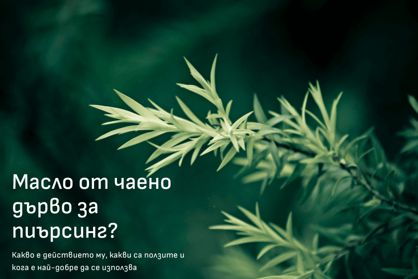 Масло от чаено дърво за пиърсинг