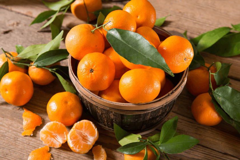 polzi-ot-eterichno-maslo-ot-mandarina Ползи и употреба на етеричното масло от мандарина