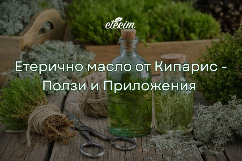 Етерично масло от кипарис ползи и проложения